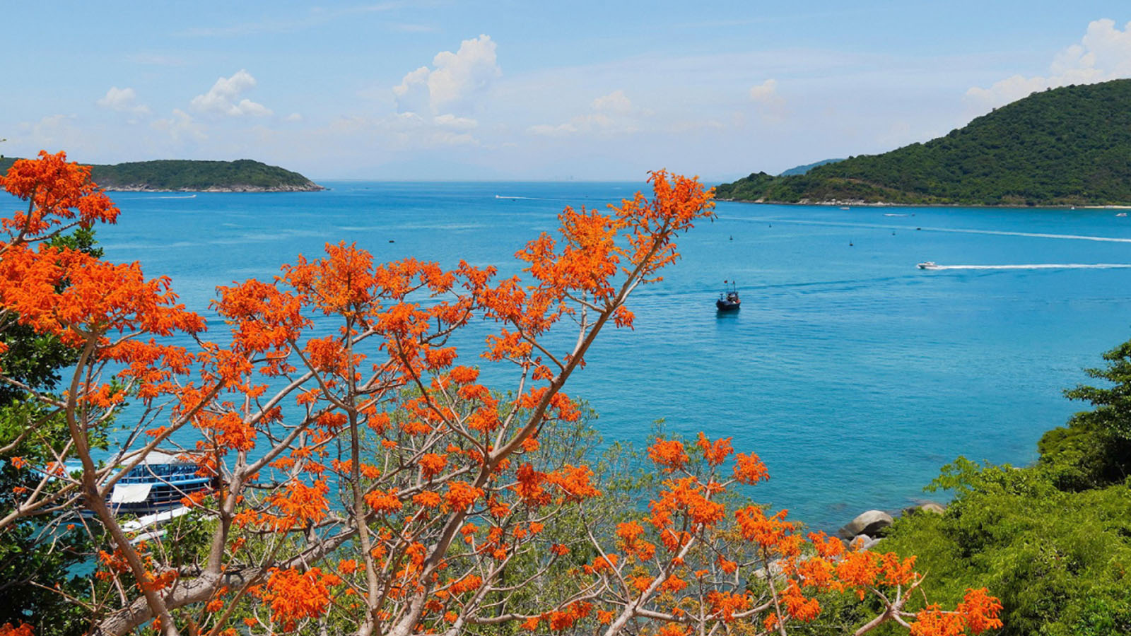 TOUR ĐÀ NẴNG - CÙ LAO CHÀM 2 NGÀY 1 ĐÊM 