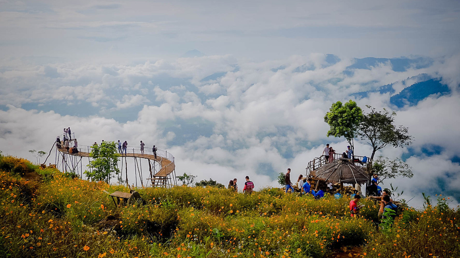 TOUR MỘC CHÂU - TÀ XÙA 2 NGÀY 1 ĐÊM