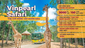 Vé Vinpearl Safari Phú Quốc