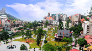 Tour Tam Đảo 1 ngày