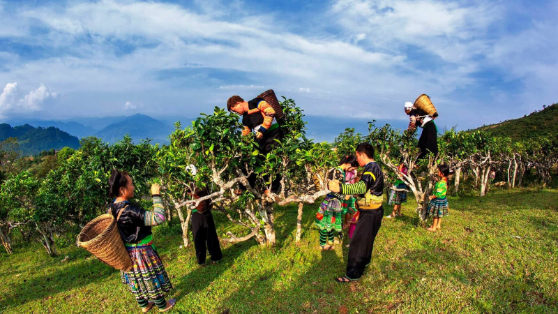 Khám phá Suối Giàng ( nửa ngày )